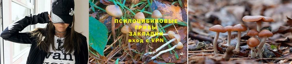 трава Новодвинск