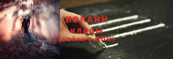 трава Новодвинск