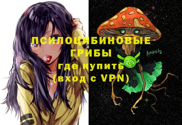 трава Новодвинск