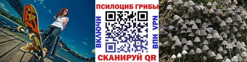 маркетплейс формула  Среднеуральск  Псилоцибиновые грибы Psilocybe  что такое   ОМГ ОМГ сайт 